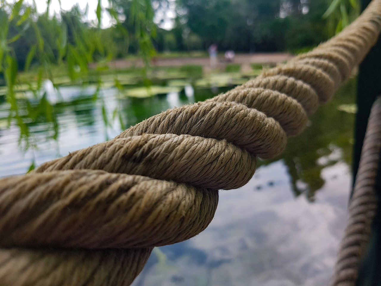 lake rope green free photo