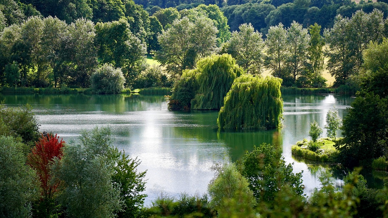 lake trees landscape free photo