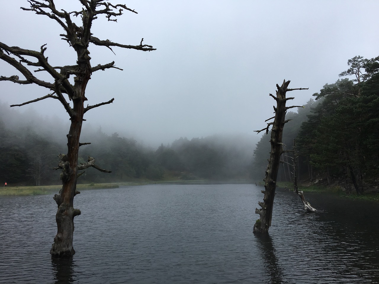 lake fog pond free photo