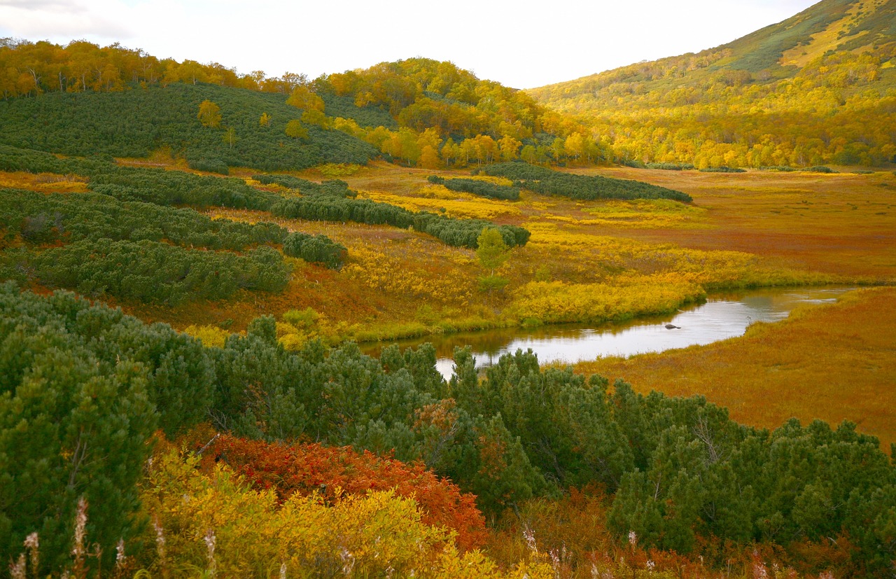 lake mountains tundra free photo