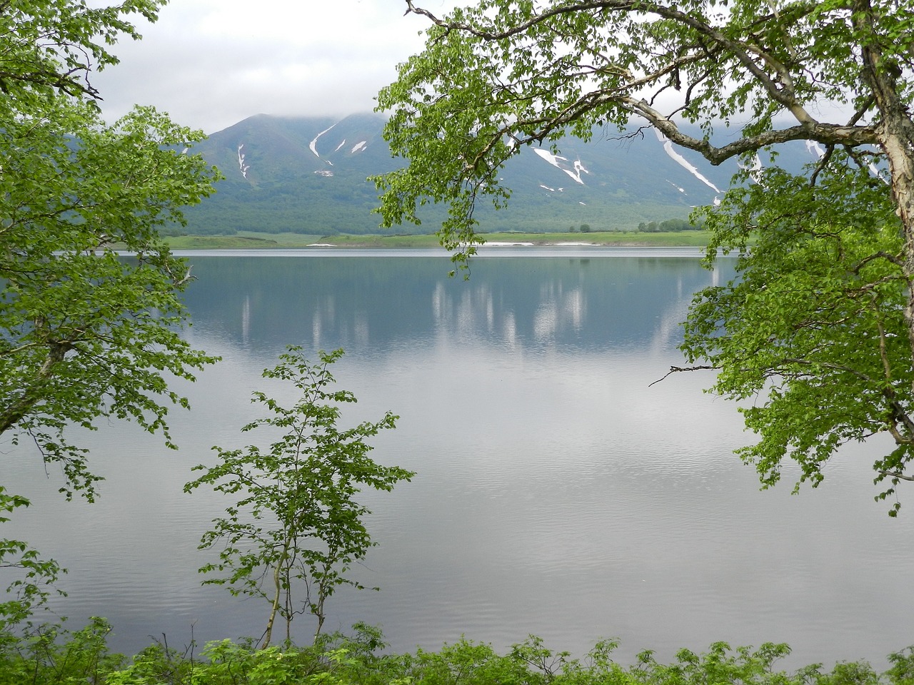 lake mountains forest free photo