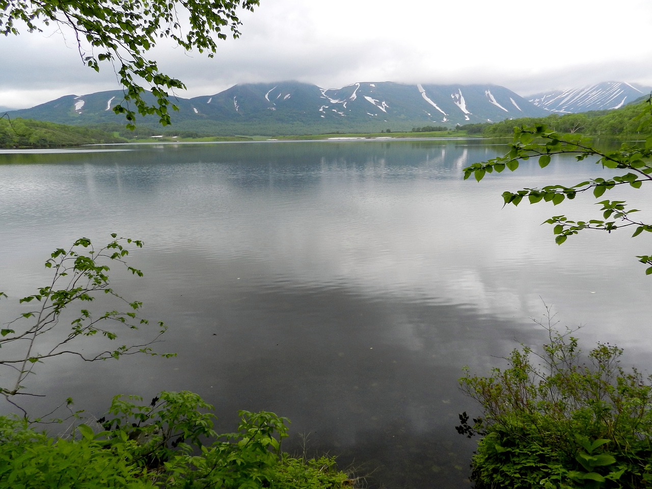 lake mountains forest free photo