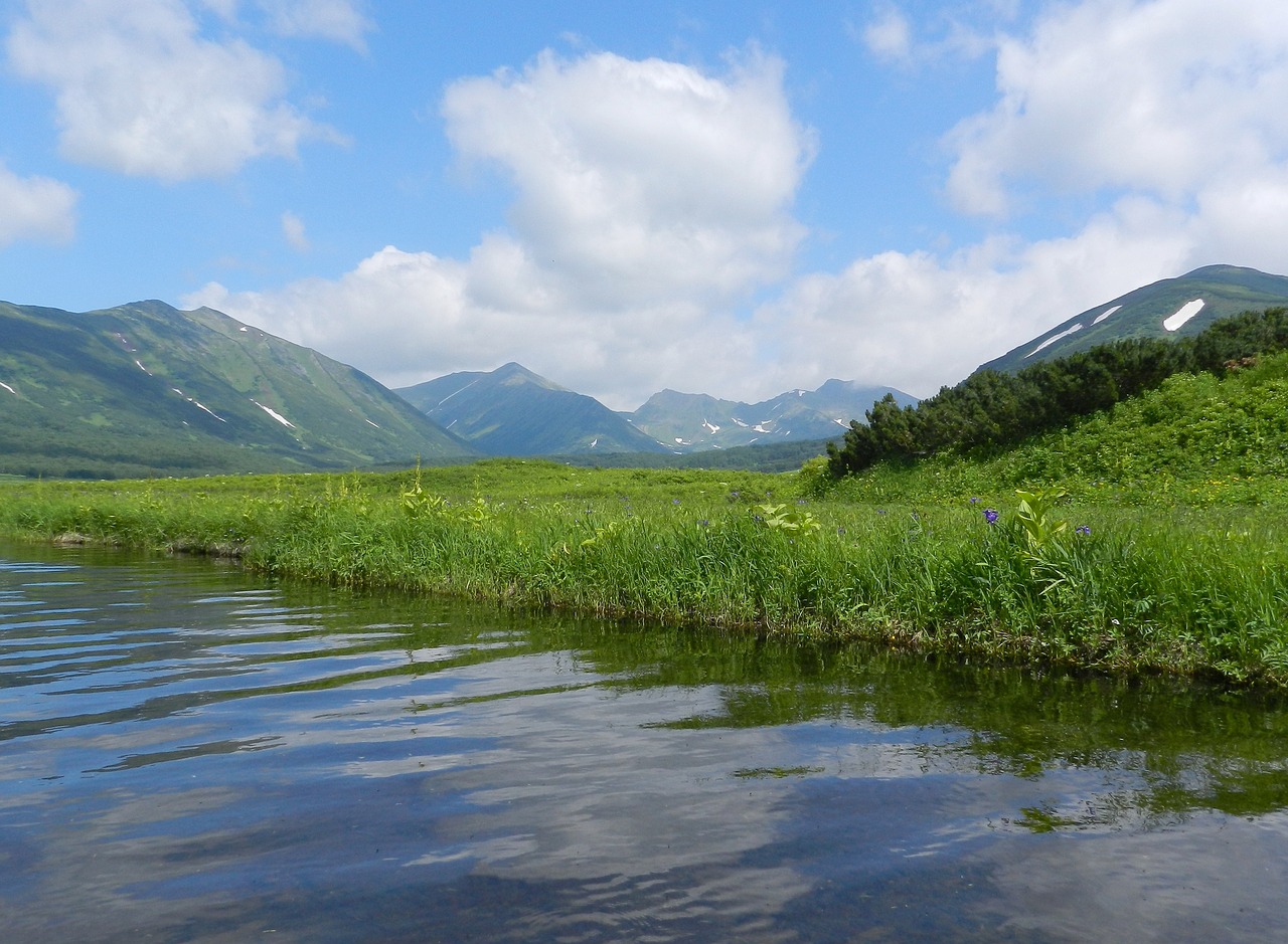 lake mountains forest free photo