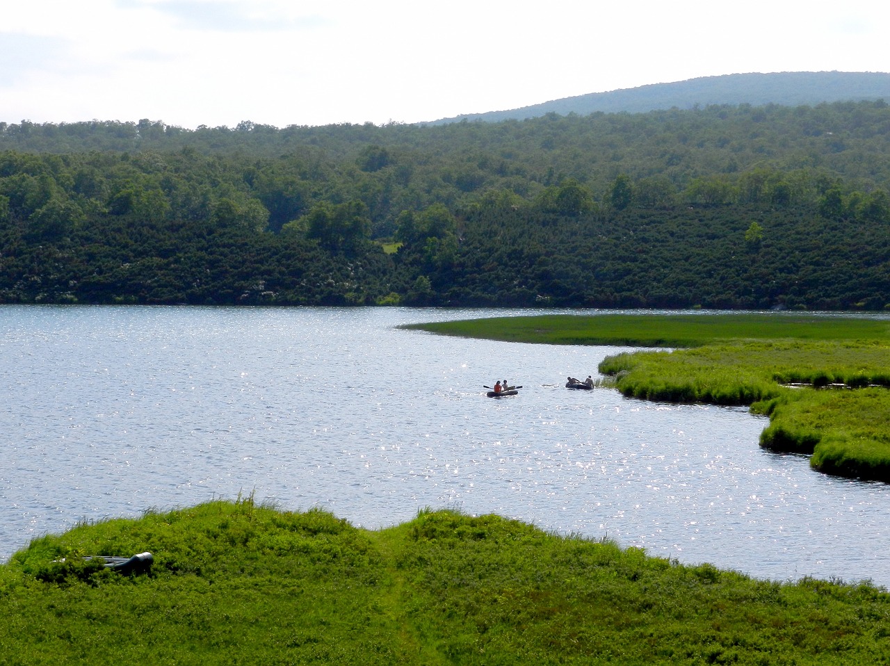 lake mountains forest free photo