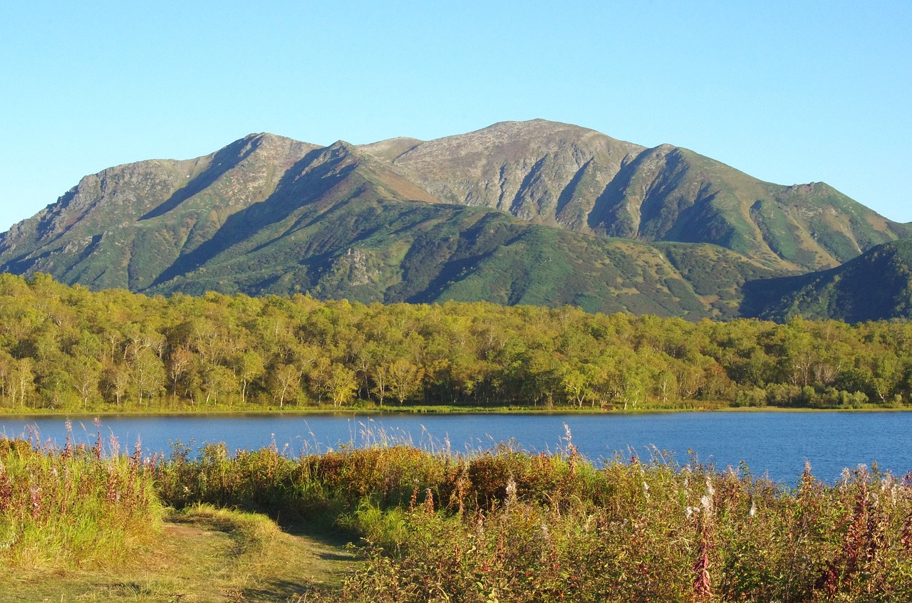 lake mountains forest free photo