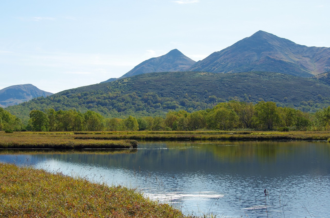 lake mountains forest free photo