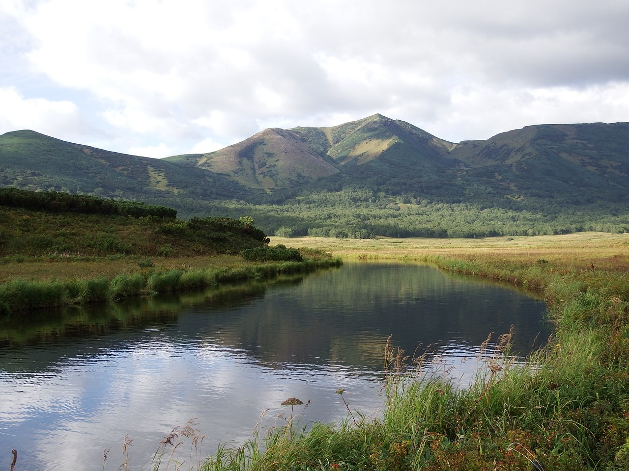 lake mountains forest free photo