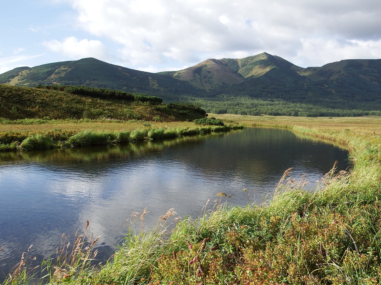 lake mountains forest free photo