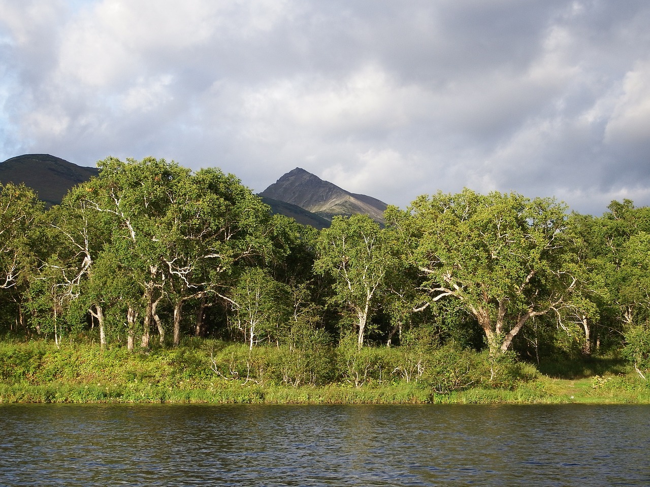 lake mountains forest free photo