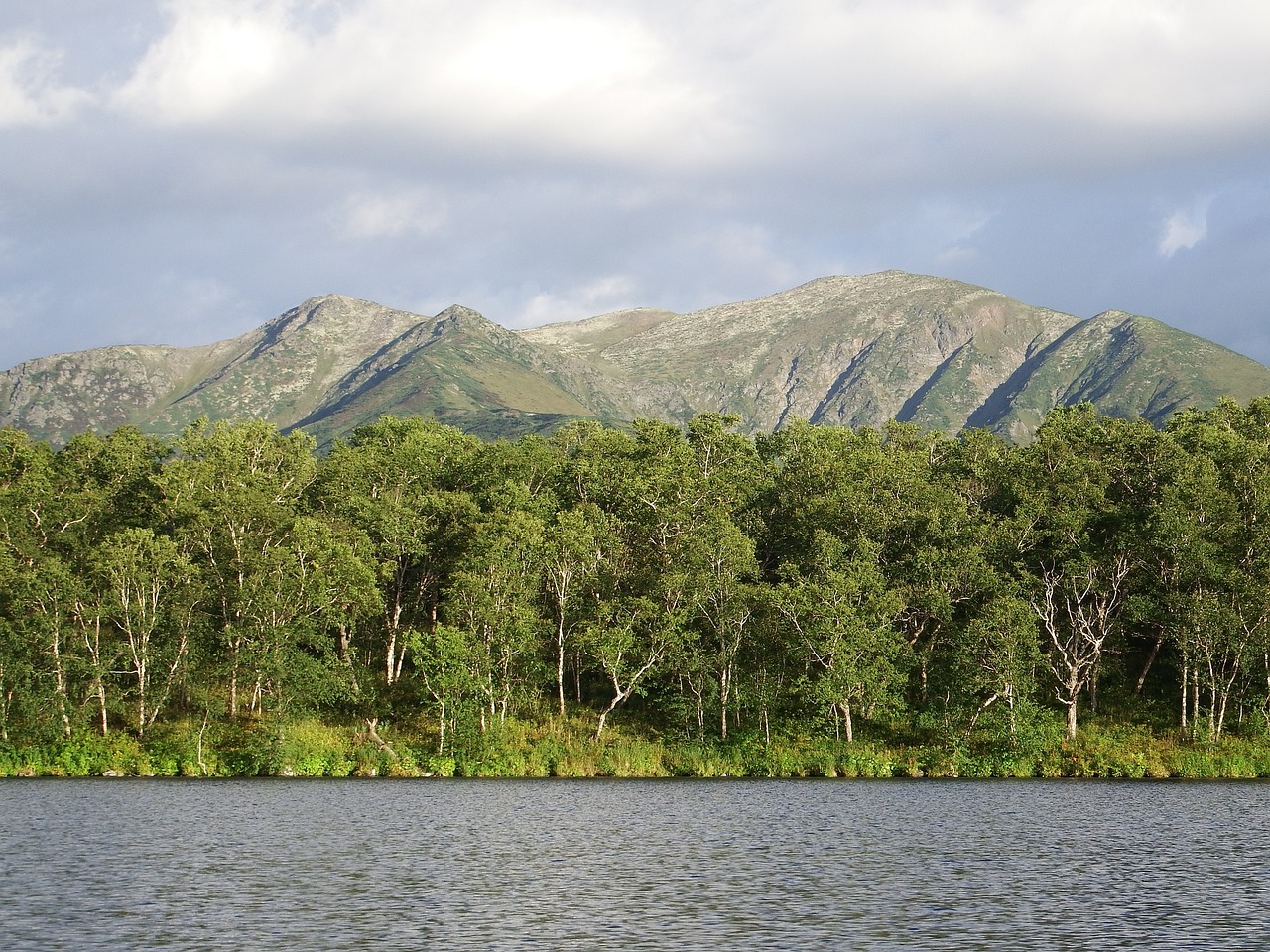 lake mountains forest free photo