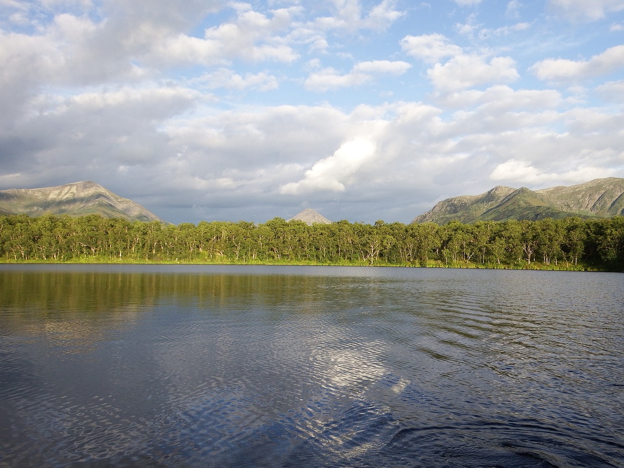 lake mountains forest free photo