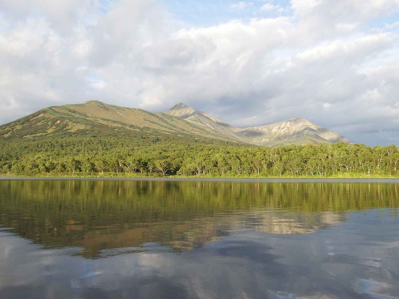 lake mountains forest free photo