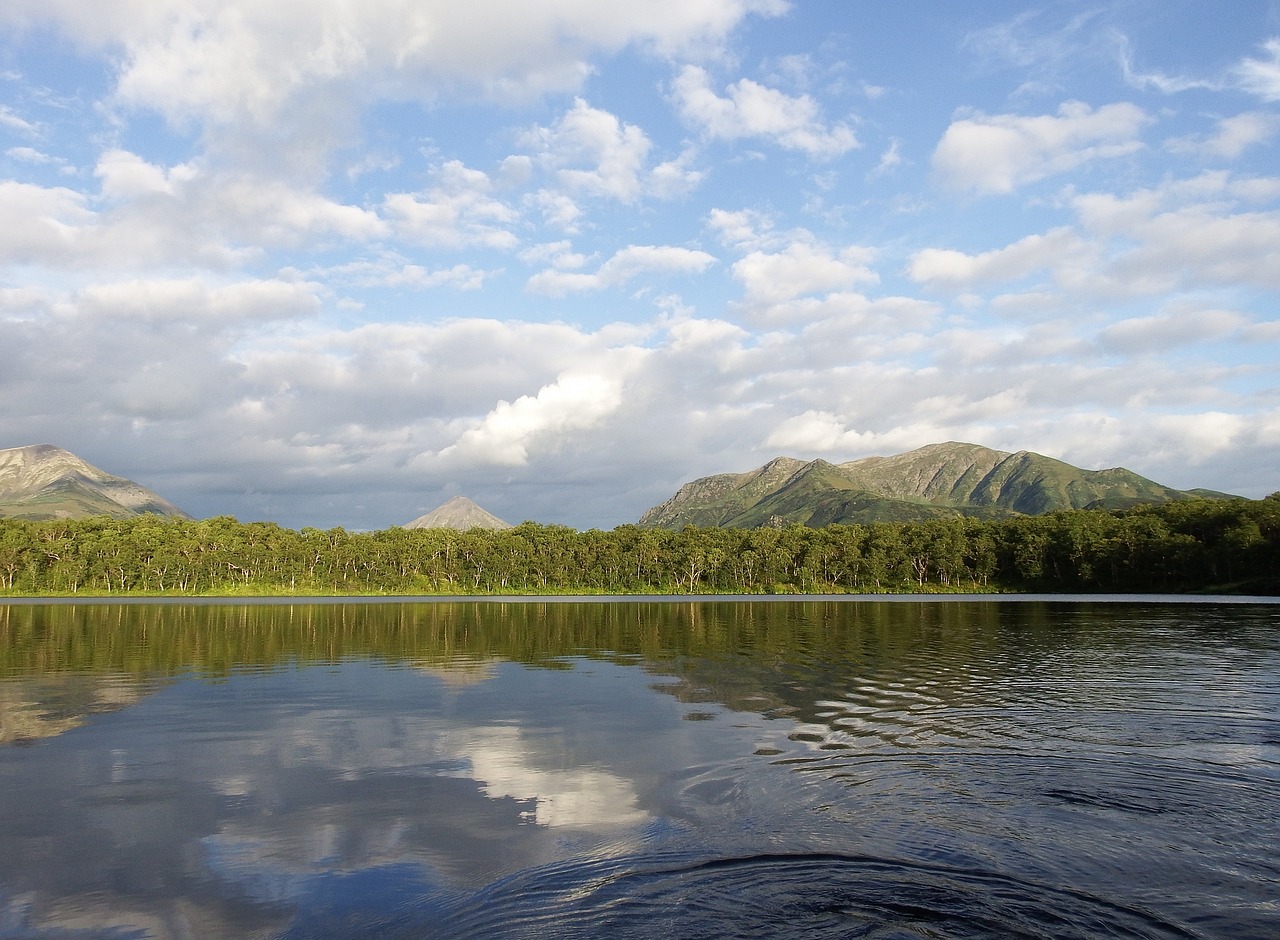 lake mountains forest free photo