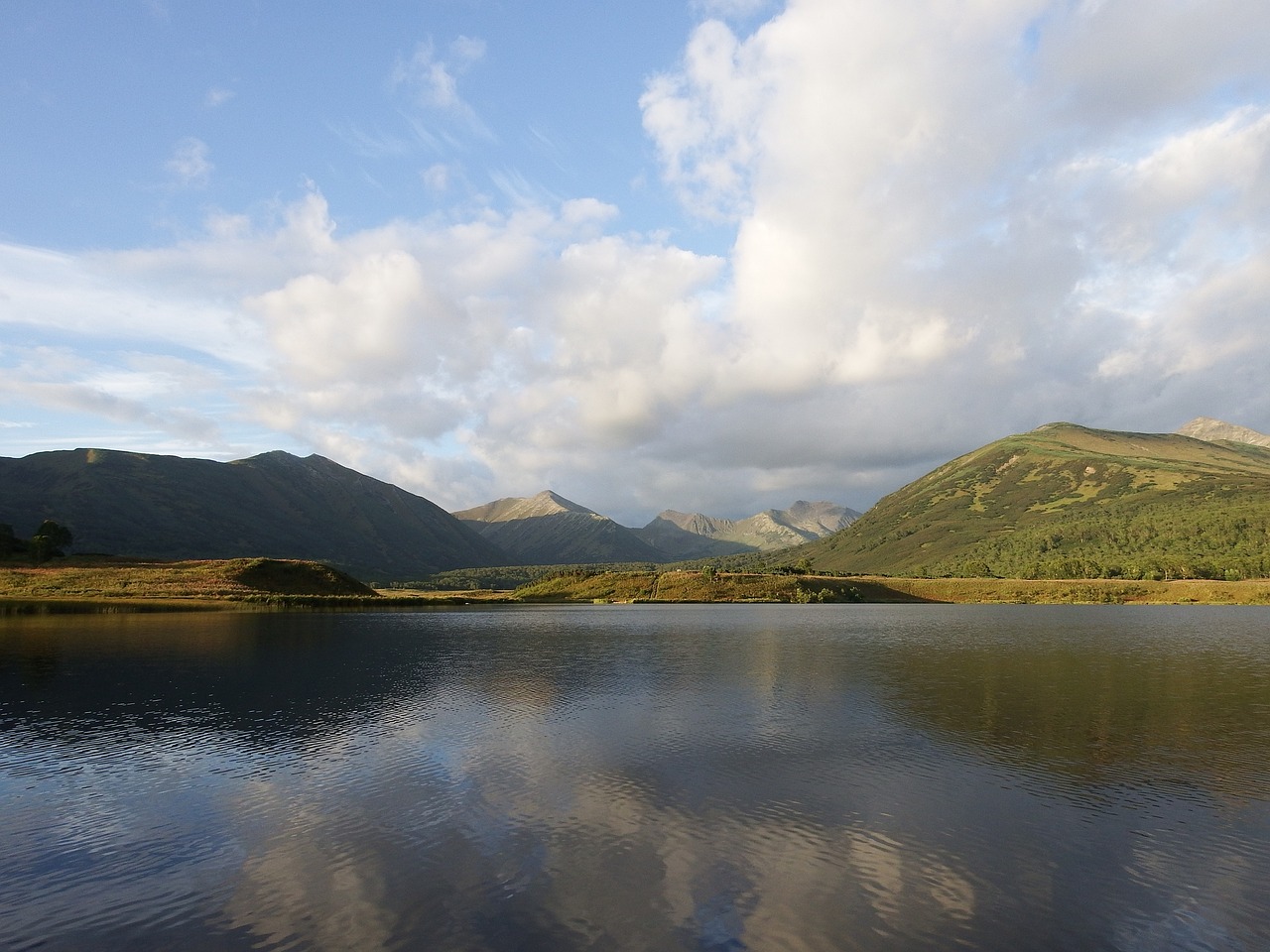 lake mountains forest free photo