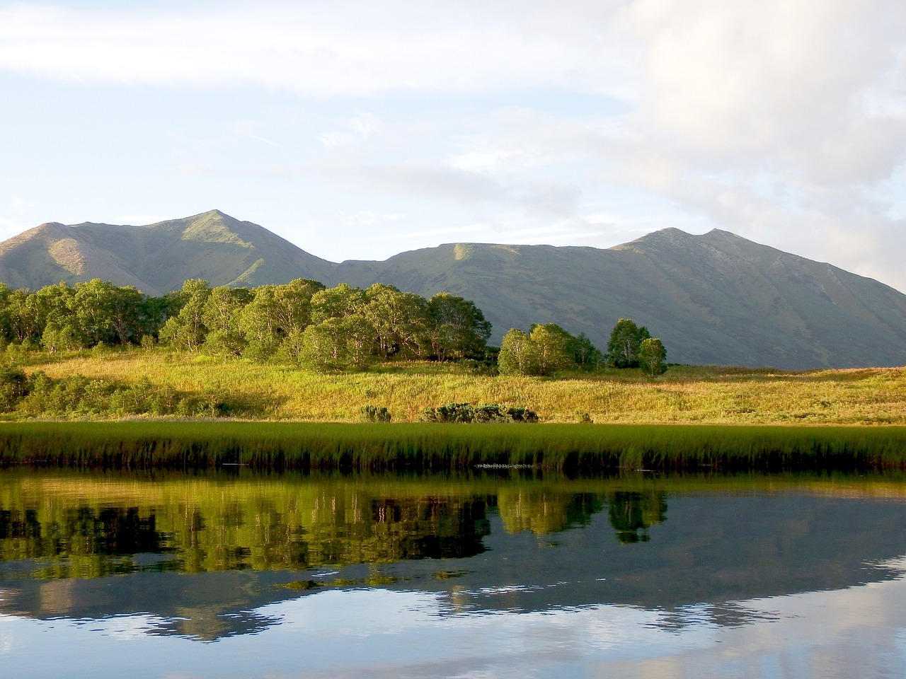 lake mountains forest free photo