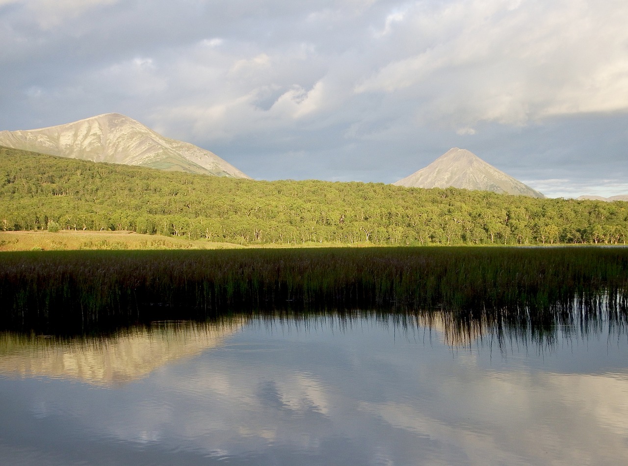 lake mountains forest free photo