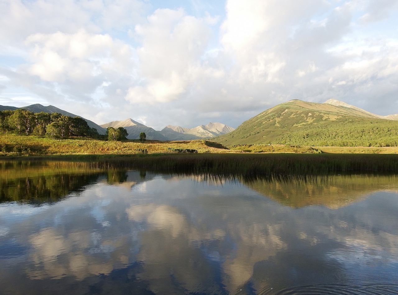 lake mountains forest free photo