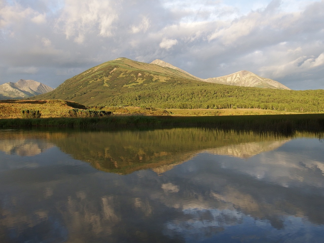 lake mountains forest free photo