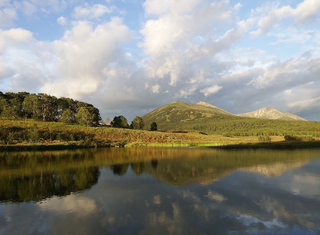 lake mountains forest free photo