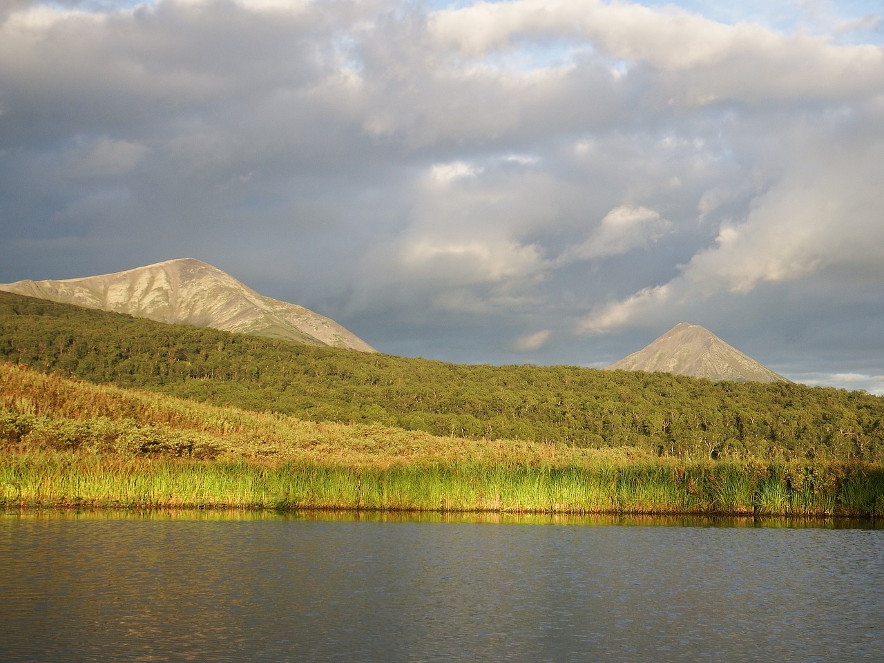 lake mountains forest free photo