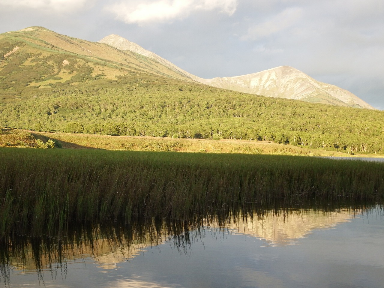 lake mountains forest free photo