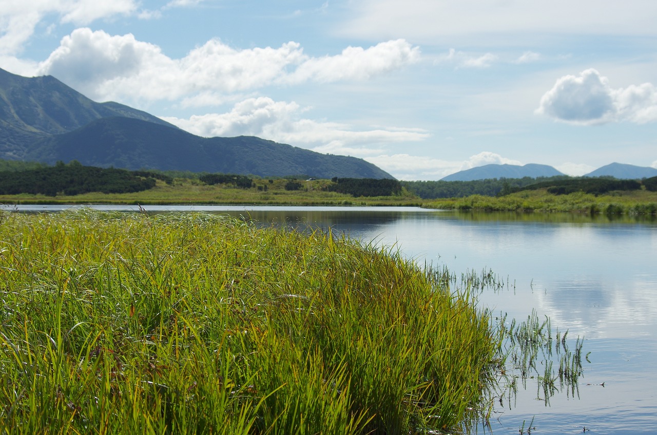 lake mountains forest free photo