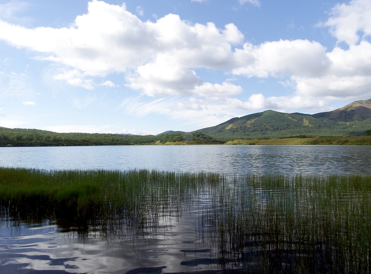 lake mountains forest free photo