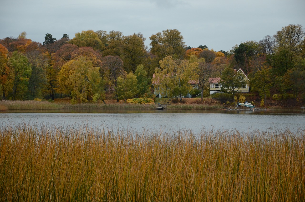 lake autumn water free photo