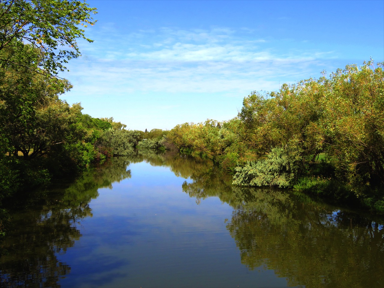 lake trees reflection free photo