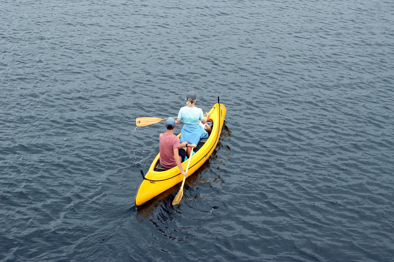 lake kayak paddle free photo