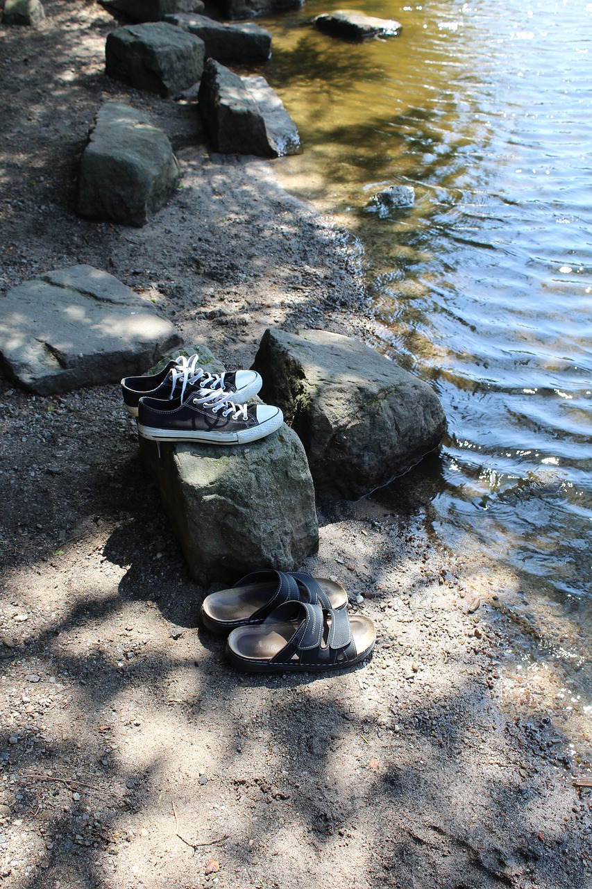 lake shoes mummelsee free photo