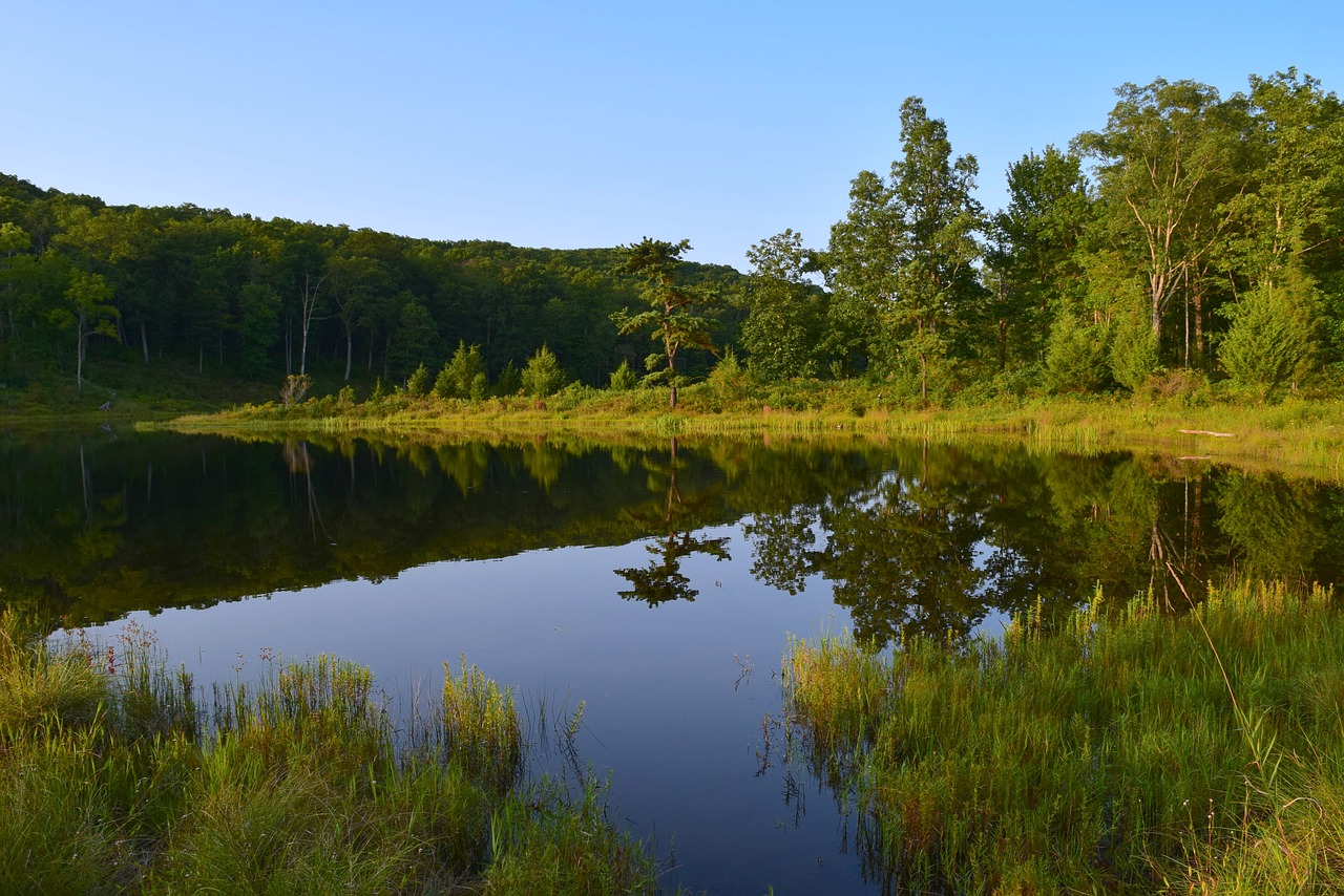 lake reflection park free photo