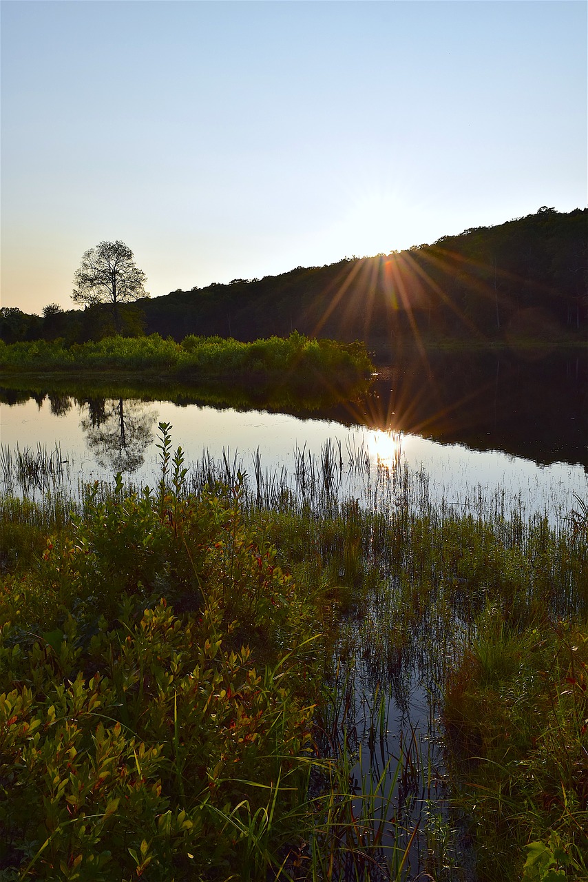 lake reflection park free photo