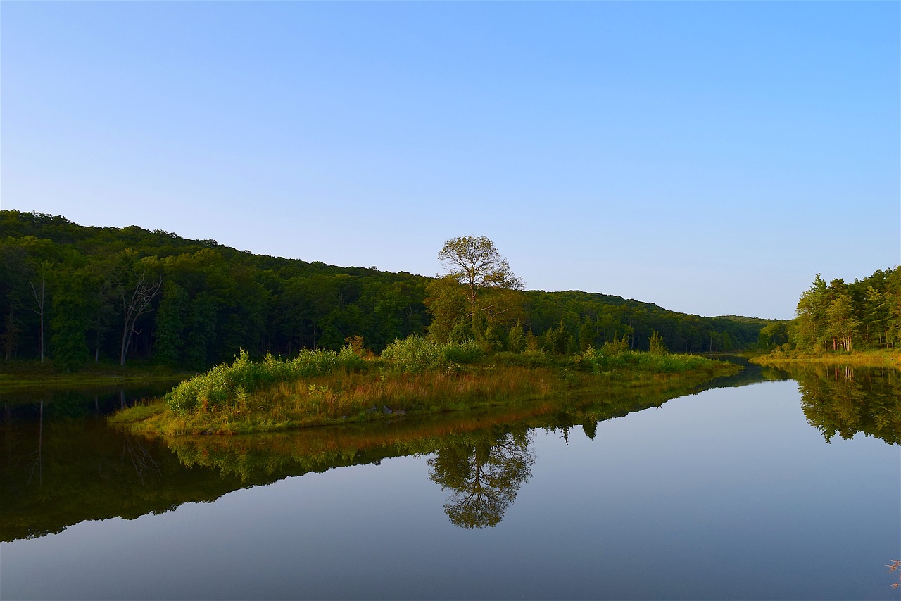 lake reflection park free photo