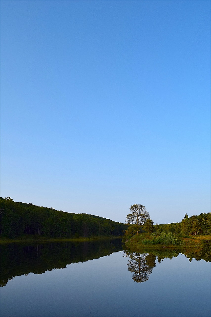 lake reflection park free photo