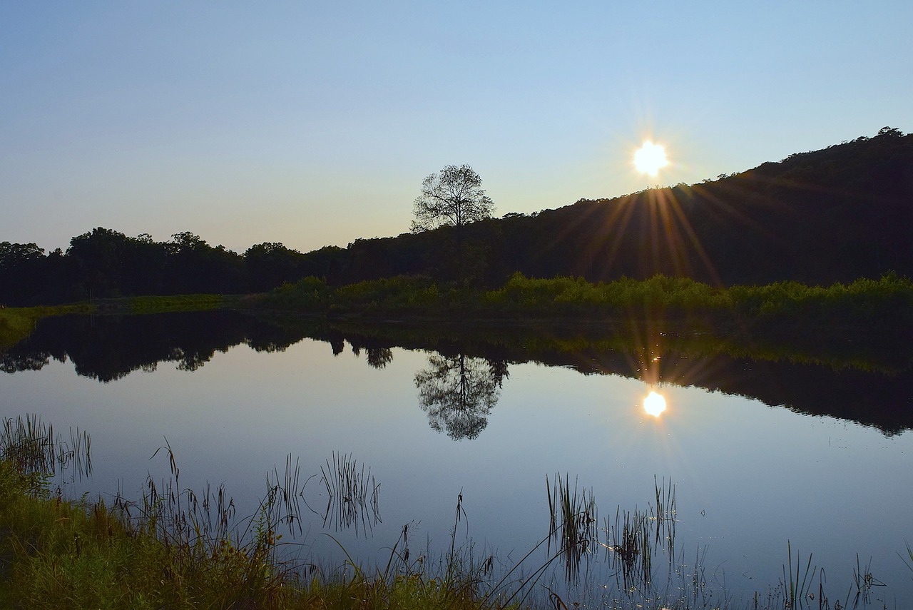 lake reflection park free photo