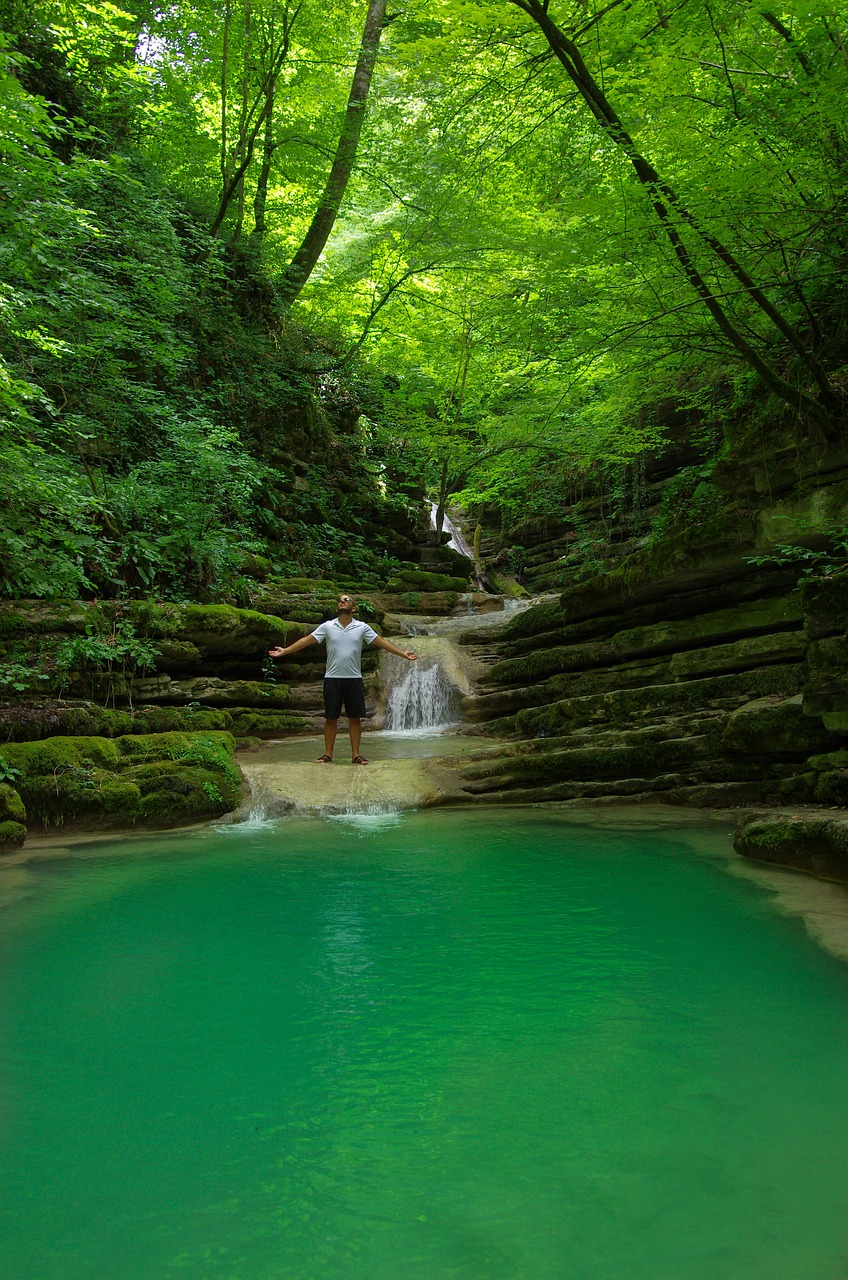 lake forest waterfall free photo