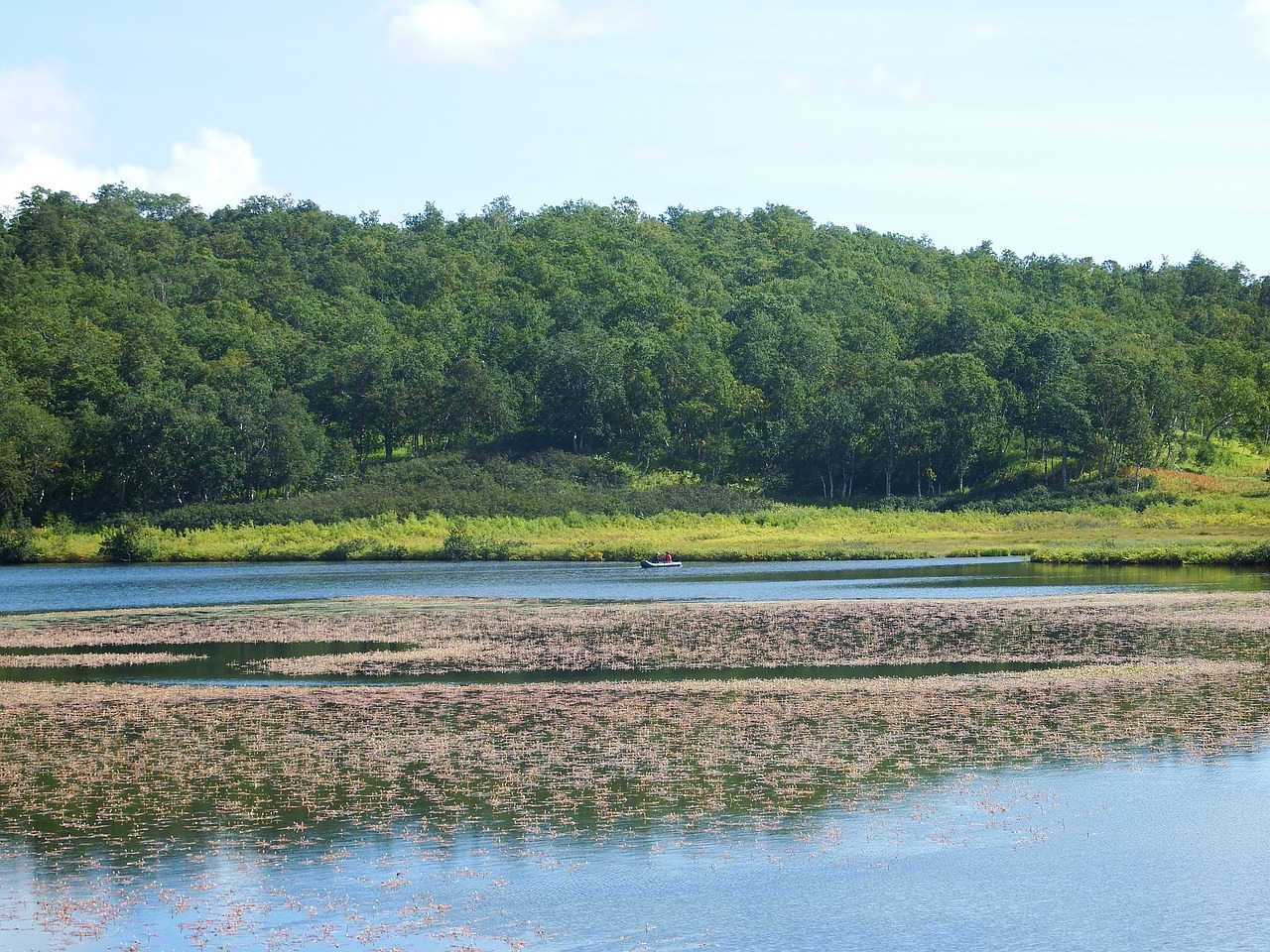 lake mountains forest free photo