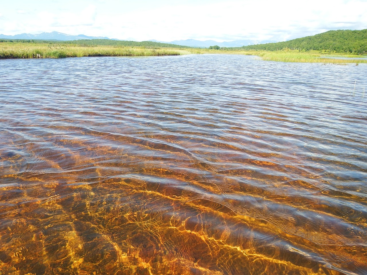 lake duct shallow water free photo