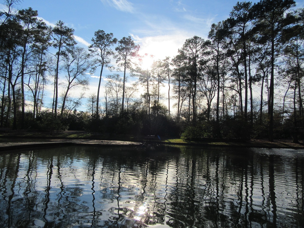 lake water reflection free photo