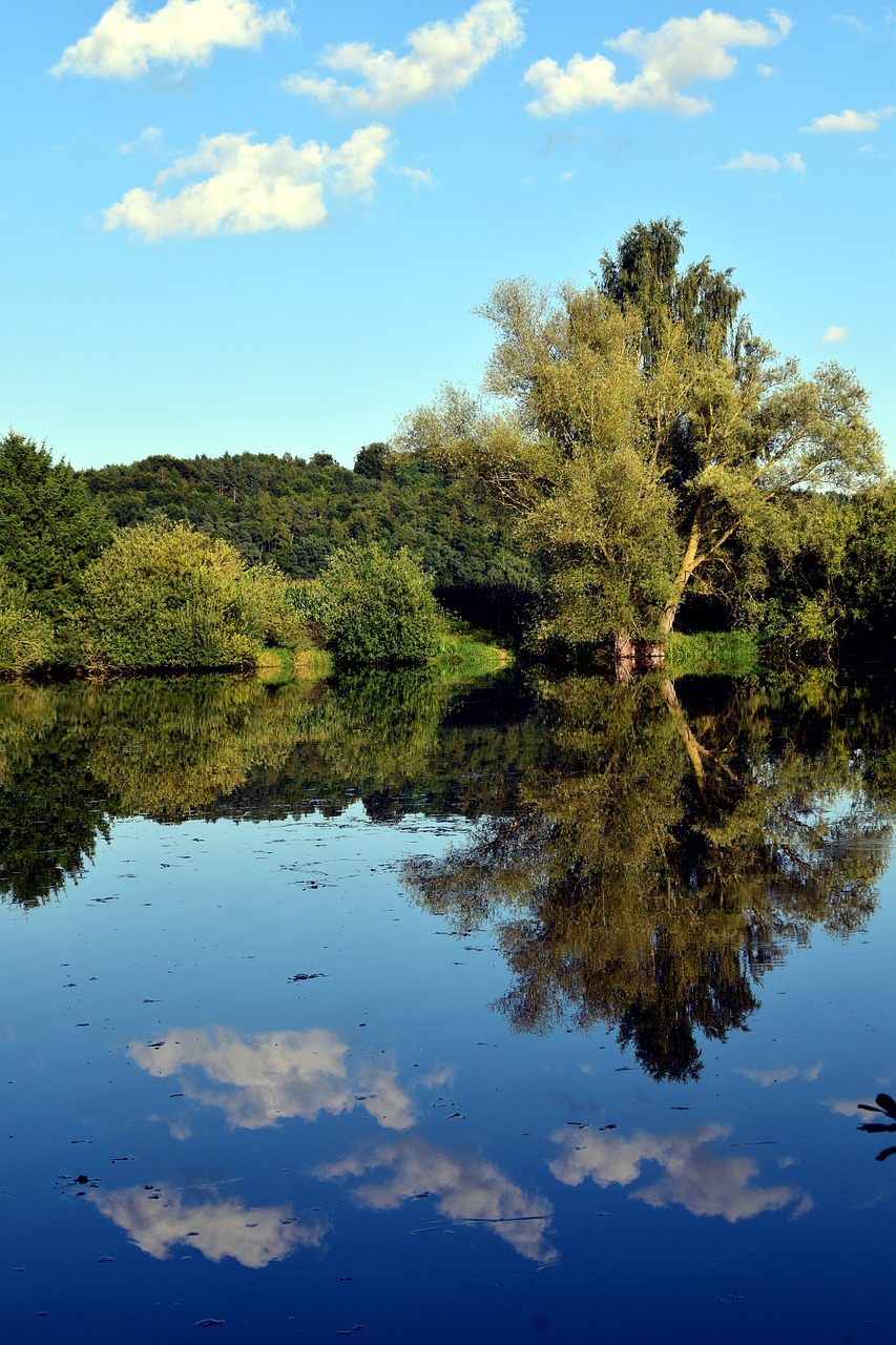 lake trees nature free photo