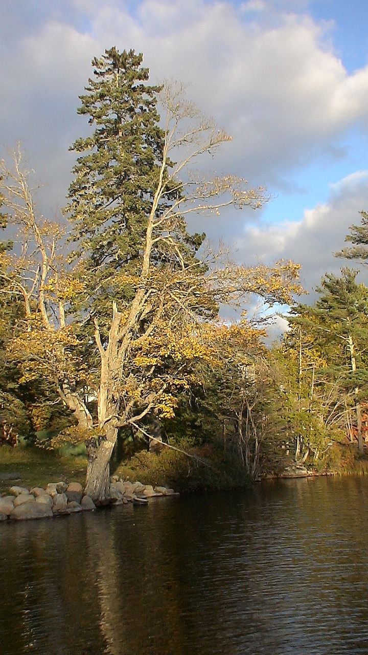 lake maine bar island free photo