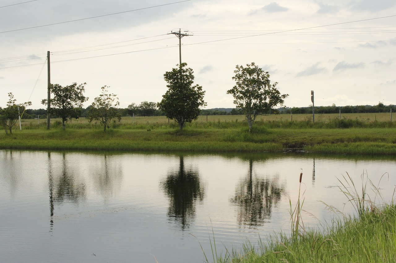 lake water nature free photo