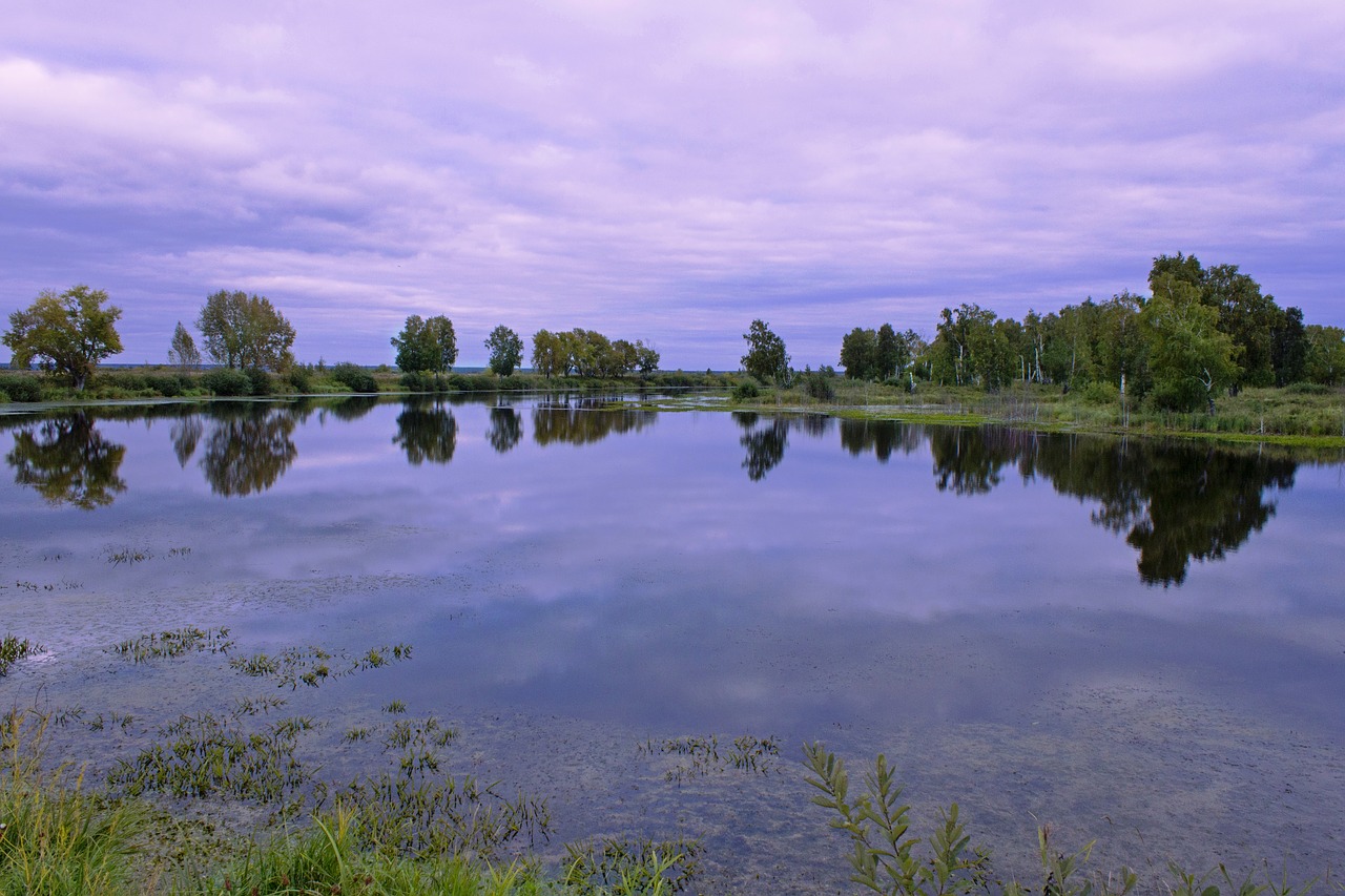 lake forest autumn free photo