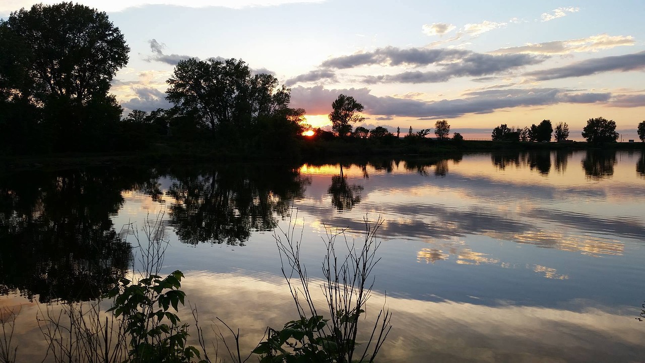 lake reflection trees free photo