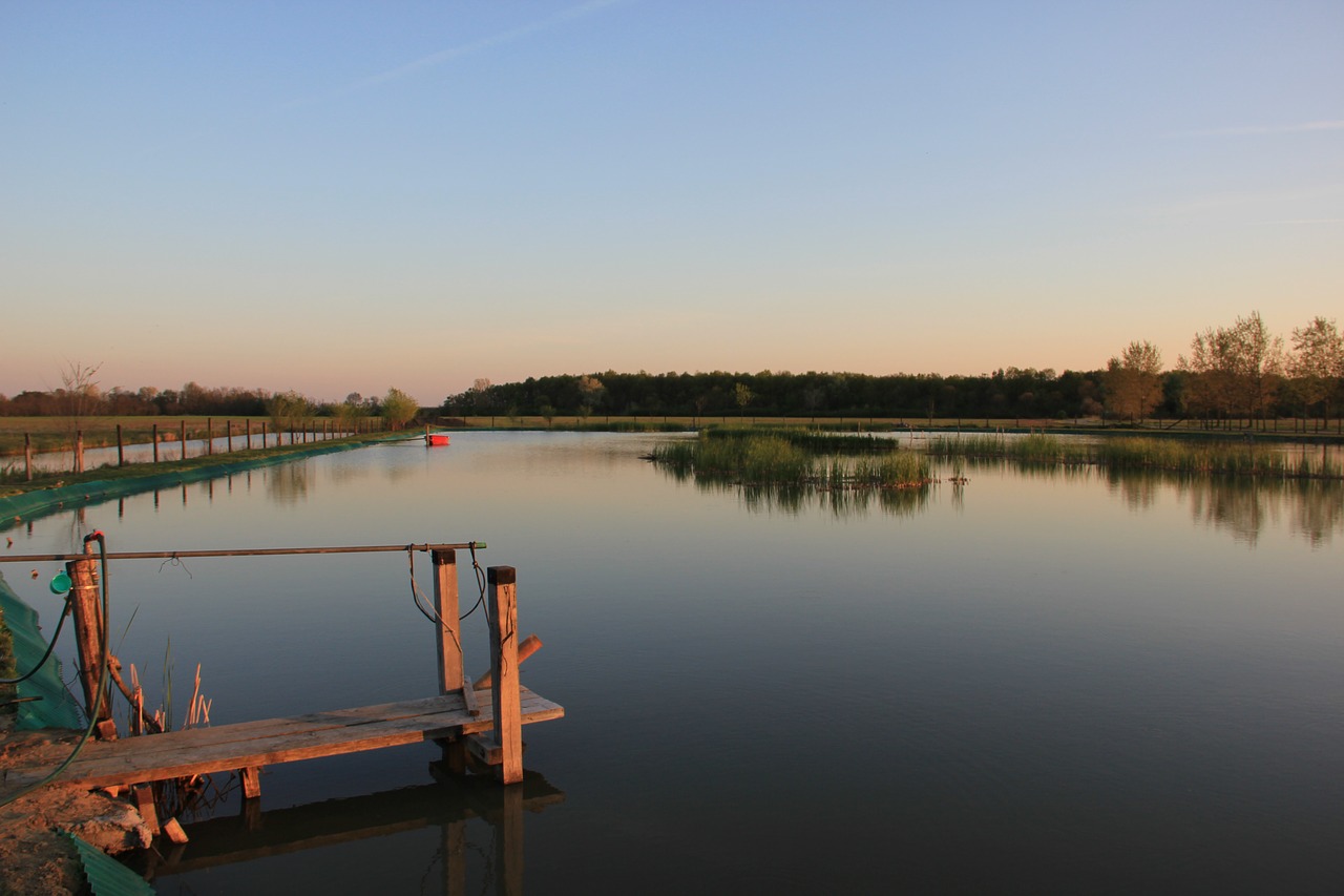 lake water web free photo