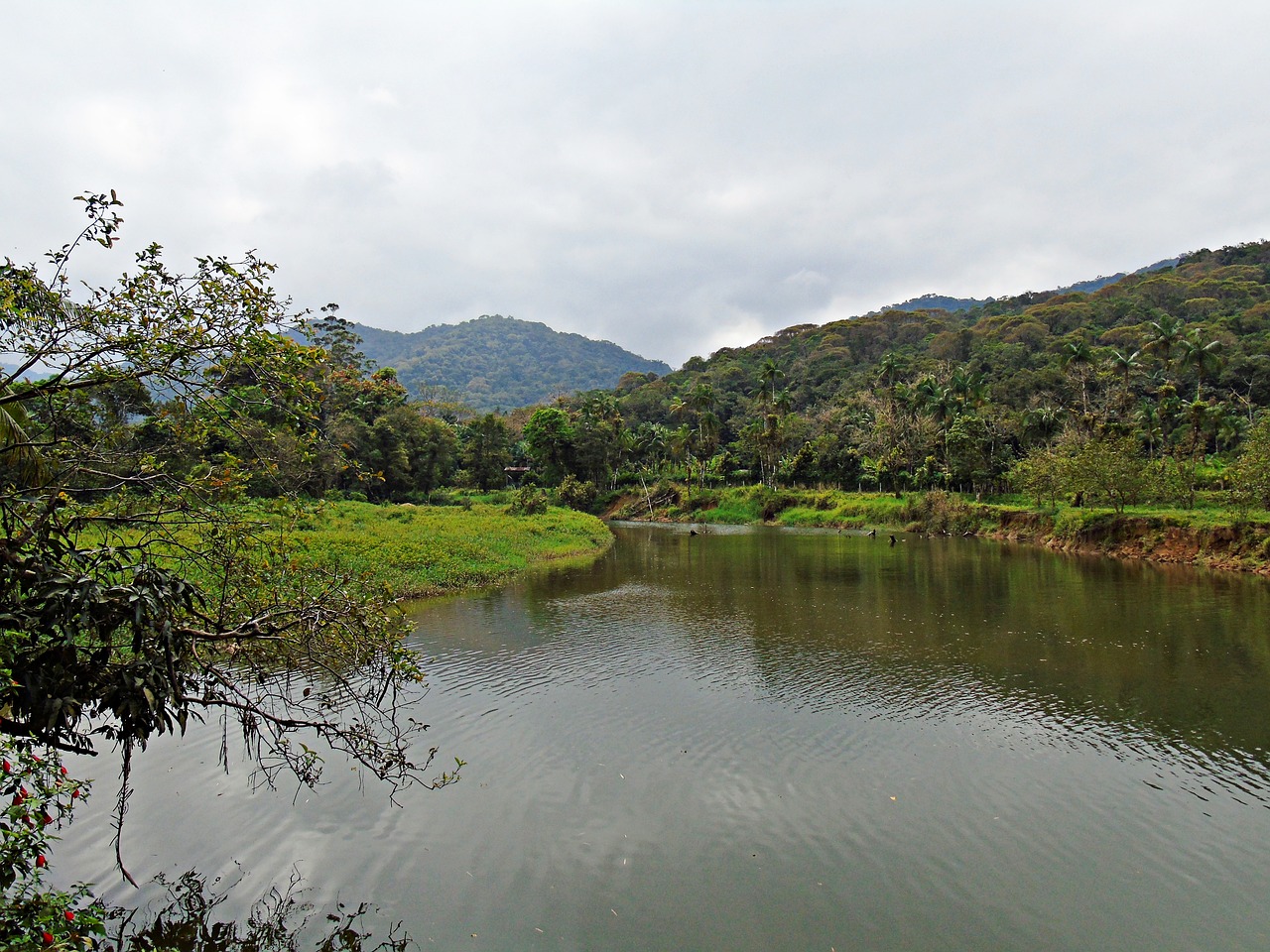 lake nature rio free photo