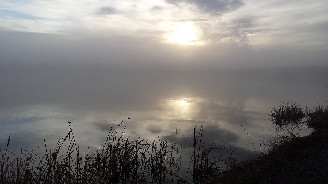 lake fog water free photo