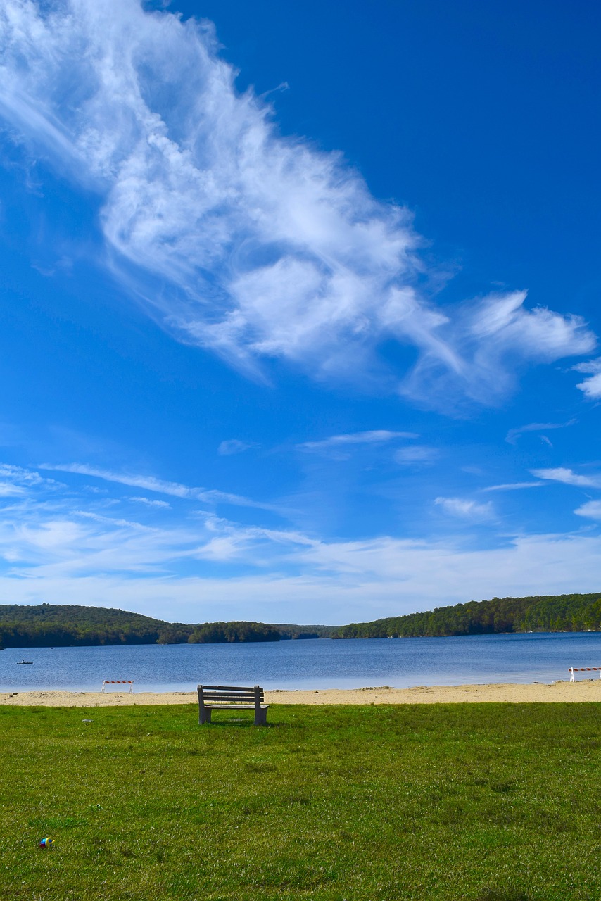 lake park bench free photo