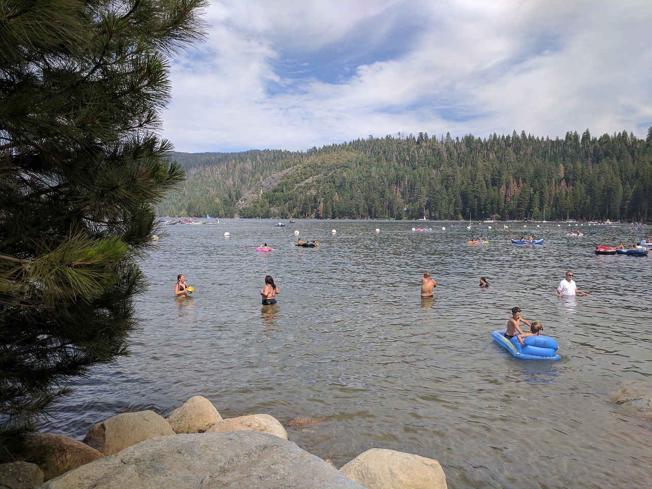 lake nature swimming free photo